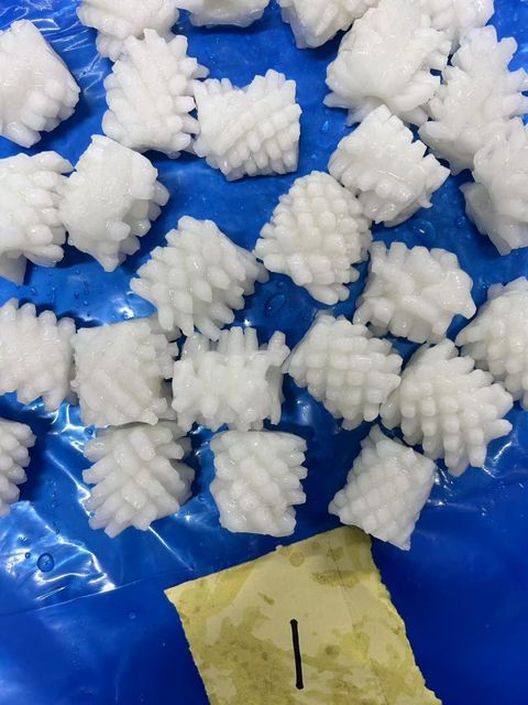 squid flower - Image 1