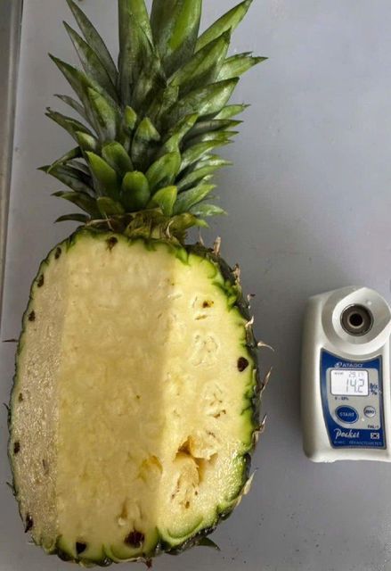 IQF Frozen Pineapple Coliform 10 Color Light Yellow E.coli Not Detected Shelf Life 24 Months Brix Level Minimum 10 Place of Origin Viet Nam - Image 4