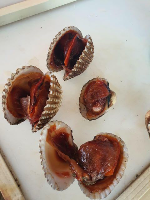 High Quality Blood Clam (OCEAN FINEST CLAM) TOP QUALITY Purity High Size 15-100 Color Natural Texture Fresh Weight (kg) 10 - Image 4