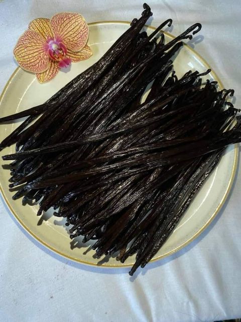Organic Vanilla Beans available - Image 1