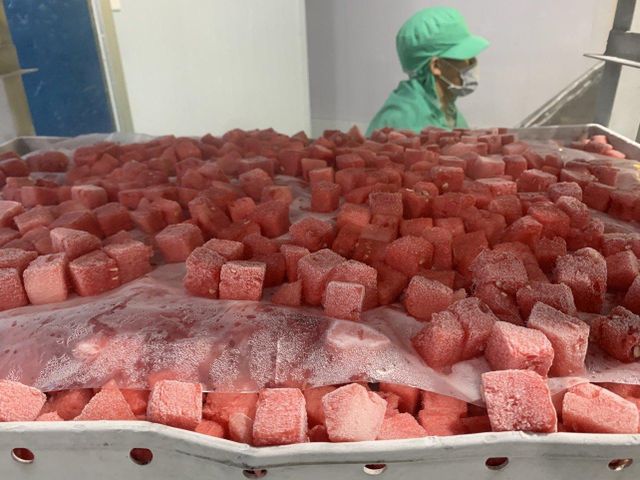 Best Selling Product - Frozen Water melon Best Offer with High Quality Origin Vietnam Water melon- whatsap 0084989322607 - Image 5