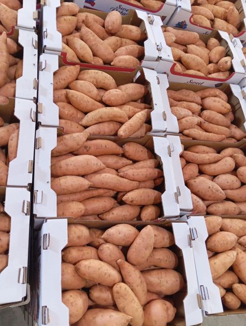 Sweet potatoes - Image 3