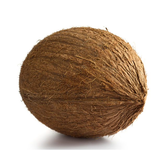 High Quality Fresh Dehusked Coconuts / fresh coconuts(larger size) - Image 2