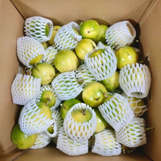 BEST SELLER - Fresh PASSION FRUIT Vietnam for export with standard quality and best price – product photo 5, product detail gallery