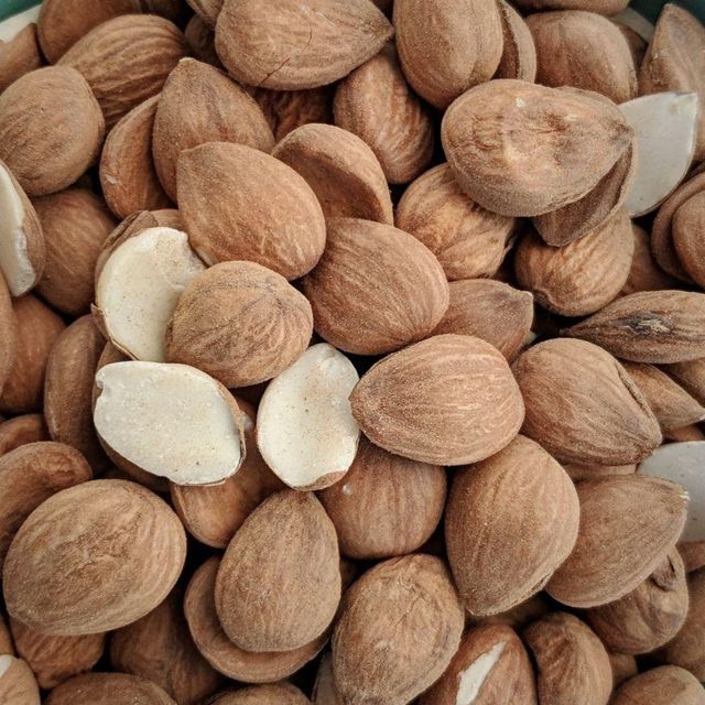 Selected Sun Dried Apricots Kernels With Clean Processing Methods For Wholesale Buyers - Image 2