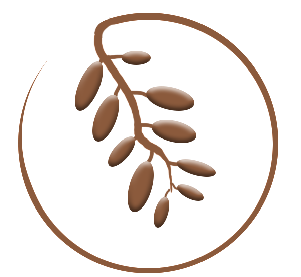 Aseel Dates - Image 1