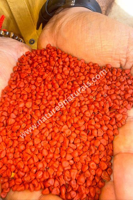 Annatto seeds - Image 1