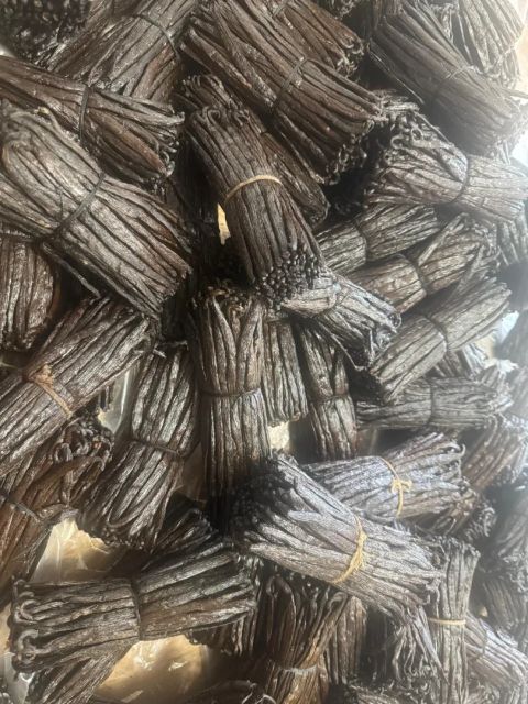 2026 Vanilla Beans - Image 4