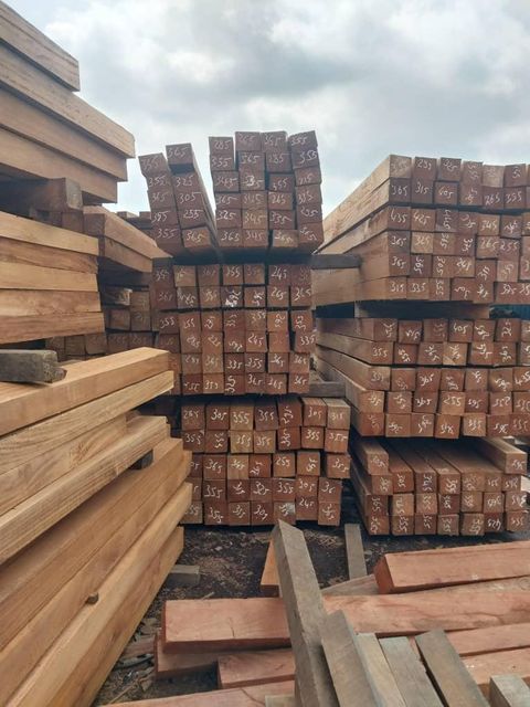 IROKOS WOOD PADOUK, SAWN TIMBER WENGE, DOUSSIE, SAPELLI, AZOBE, ZEBRANO ROUND LOGS AVAILABLE for; - Image 5