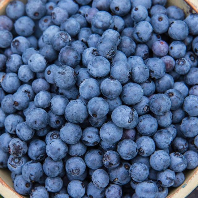 Fresh Blueberries / blueberry fruits 125g pint punnet Size Range 12mm To 22mm Sugar Content Around 13° Brix Firmness Around 86 Durofel - Image 4