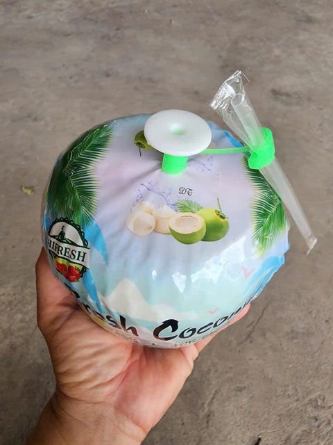 Fresh Mango, passion fruits, red chilli, longan, dragon, wax apple, jackfruit meat, coconut, pomelo,... - Image 8