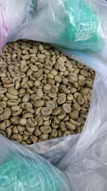 BEST QUALITY COFFEE BEANS NEW CROP HOT SELLING REASONABLE GREEN SEEDS READY WHATSAP +255787979235 – product photo 4, product detail gallery