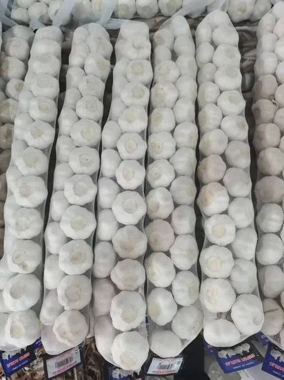 China New Big Size Braid Fresh Pure White Garlic Style Whole Origin China HS Code 070320 Type Pure White Trademark Green - Image 6