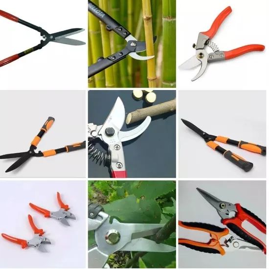 Hand Pruners Grape Scissors Size 605mm Brand Mofix Origin China Usage Pruning Condition New Trademark MOFIX Blade Tip - Image 6