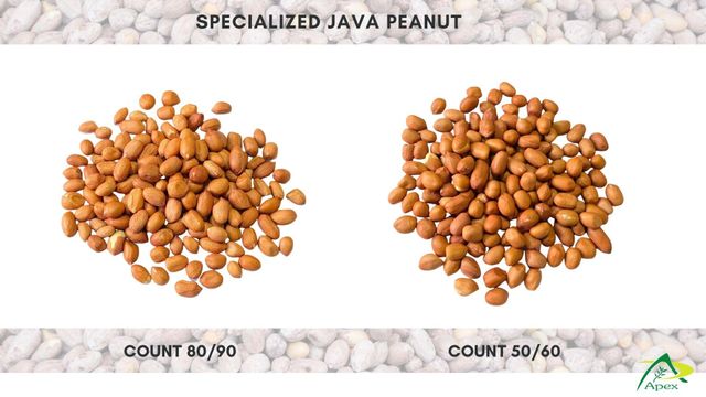 Java Peanut 6070, Java Peanut 60 70, Java Peanut 60/70, Peanut, Peanuts, Arachis hypogaea, Java Peanut, Java Peanut Kernels, Blanched Peanut, Indian Java Peanut, Indian Blanched Peanut, Peanuts Java Kernels, Peanuts Kernels, Peanut With Shell, Peanuts, Indian Peanuts,Java Peanuts, Java Peanut Supplier From India. - Image 2