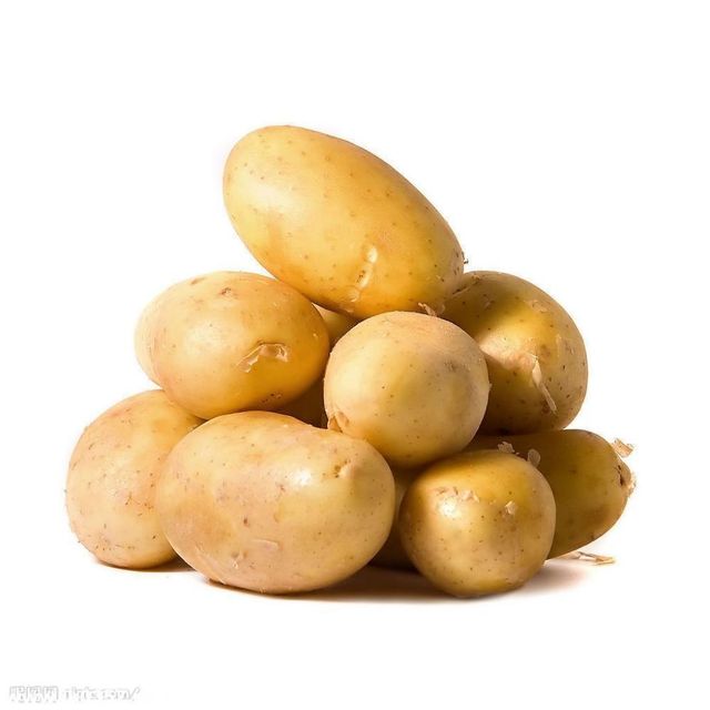 Fresh Potatoes Large Size Bulk Harvest Premium Potatoes For Wholesale And Distribution - Image 2