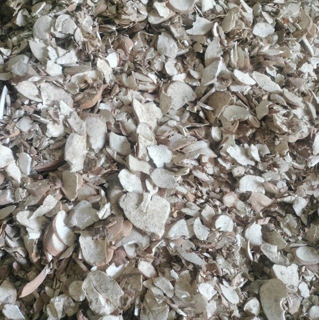 Cassava 10KG 送料込み 野菜 BIG SIZE yuca mandioca cassava 10kg BIG SIZE yuca