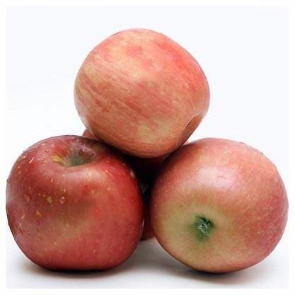 Fresh red fuji apple fruit fresh natural fresh apple manufacturers - Image 5