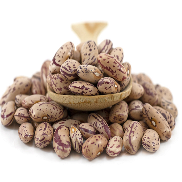 Clean Pinto Beans Premium Natural Dried Beans For Cooking And Food Industry Buy Fast Delivery Premium Quality Wholesale Naturally Perfect For Daily Use And Bulk Supply - Image 4