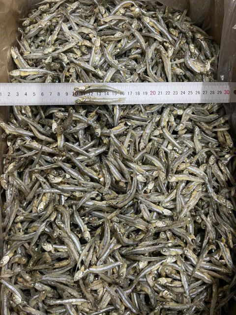 Dried Anchovy - Stolephorus commersonnii - Well - Qualified Origin Vietnam Impurities 3% Max Color Natural Color Shelf Life 12 Months - Image 5