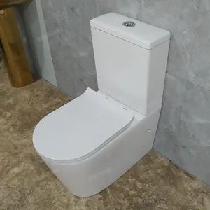 Australian Style Back to Wall Wc S-Trap P-Trap Available Ceramic Rimless Two Piece Toilet - Image 6