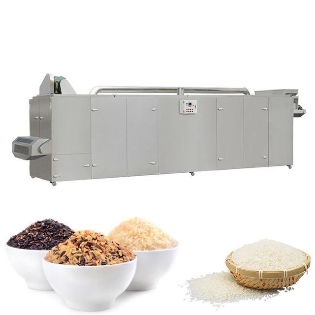 1t Per Hour Nutritional Rice Production Line Artificial Rice Extruder Manufacturing Machinery - Image 2