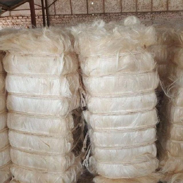 Raw Sisal Fiber Gypsum Hair Bulk Natural Fiber for Spinning Filling and Non Woven Fabric For Sale - Image 1