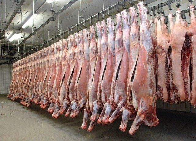 ZERO water injection. 100% meat. 100% Halal Degree of Processing frozen Meat Type Beef, Chicken, Lamb Features No Artificial Flavors - Image 2