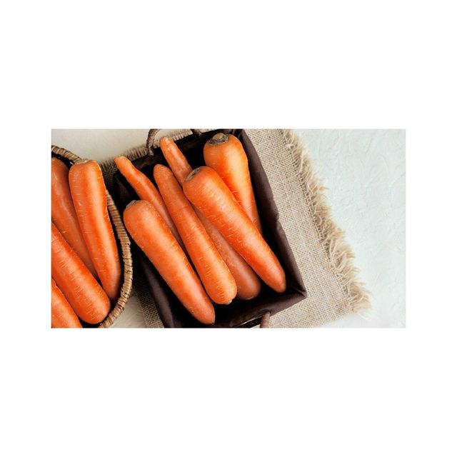 Fresh carrots available in bulk for global produce wholesalers and importers - Image 4