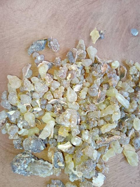 Agricultural Raw Materials Origin Sudan & South Sudan Packing 50 Kg Bags, 50 Kg New Polypropylene Bags Minimum Order Quantity 1 X 20ft Or 40ft Container Depending On Product - Image 3