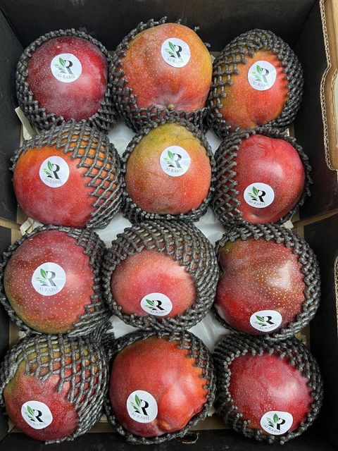 Mangoes 🥭 - Image 3