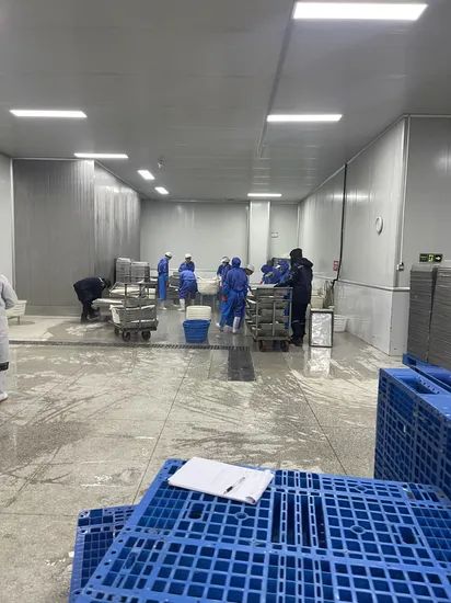 Customized Dimension Blast Freezer with Other Compressor Brand - Image 6