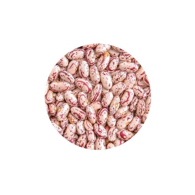 Premium grade sugar beans for wholesale food supply and processing - Image 3
