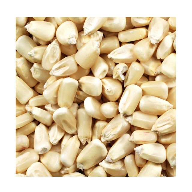 Corn Whitecorn Factory Supply Natural And Fresh Delicious Grains Full And Sweet Waxy Corn - Image 5