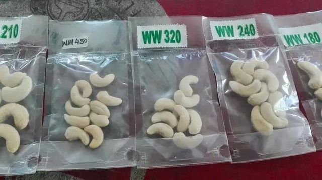 Dried ginger, cashew nut kernel, sesame sead etc... Form Whole Texture Dried Delivery Form Bag Features Fair Trade Price Per Container Usd 5 - Image 3