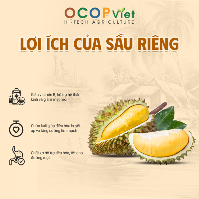 Sầu riêng Thái - Thai Durian - Image 3
