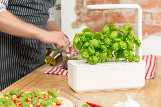 Innovative Smart Garden System for Kitchen Window Herbs - Image 4