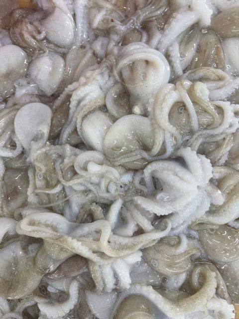 Frozen Baby Octopus Whole Cleaned (Single Skin/ iidako) Origin Vietnam Place of Origin Vietnam Weight (kg) 100% net weight - Image 2