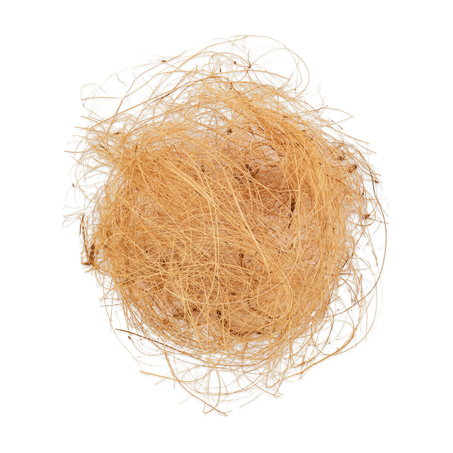 wholesale Supply Coconut Fiber Coir Fiber from Africa Factory - Image 4