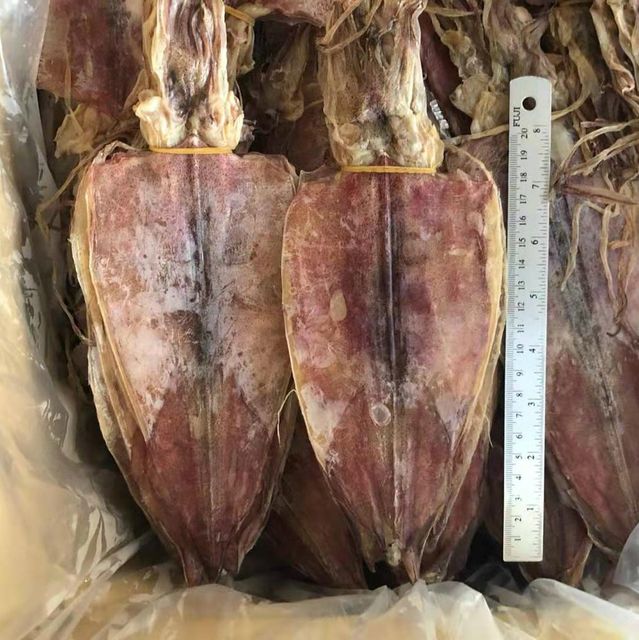Best Selling Quality Dried Squid from Vietnam Sea Dried Squid With Cheapest Price Asia Cuttlefish - Image 3