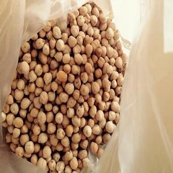 Kabuli Chickpeas in Bulk Export Style Dried Chickpeas - Image 3