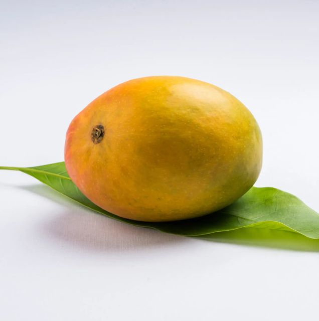 High Quality Alphonso Organic Fresh Mangoes Texas Top Grade 20cm Size Wholesale Tropical Fruits Cheap Price - Image 4