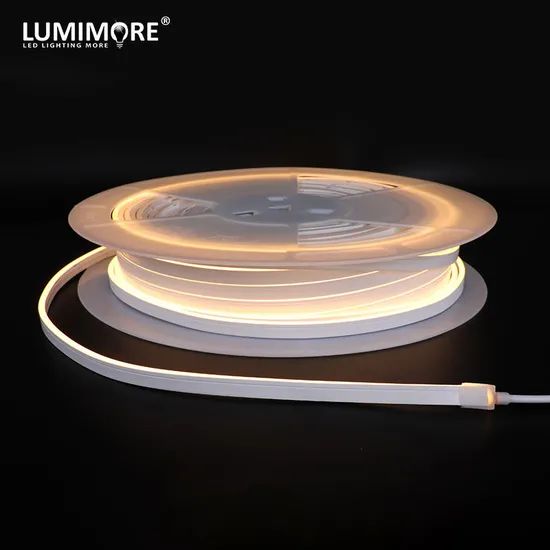 Ultra Mini 4mm LED Rope Lights Flat Shape Outdoor IP67 Size 12V Neon Flex Facade Lighting - Image 1