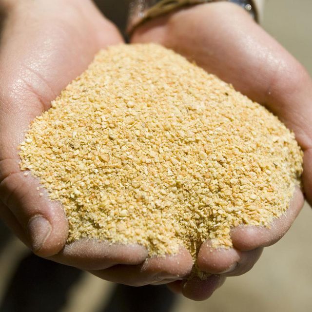 Dried Fish Meal For Poultry And Livestock Feed Fish Meal With High Digestibility And Nutrient Absorption For Faster Growth - Image 5
