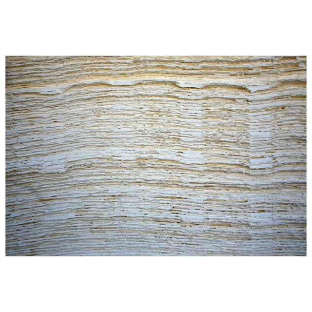 Hot Sales Bleached Hardwood Kraft Pulp AND Bleached Soft wood Kraft Pulp - Image 3