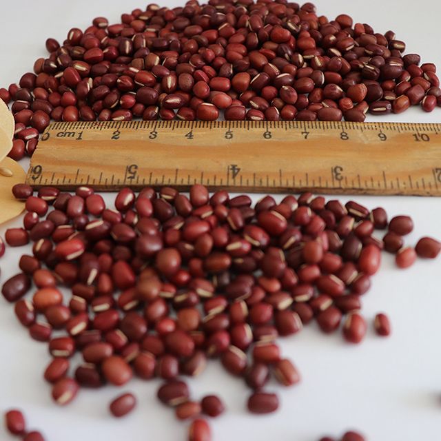 Bulk Non Gmo Feijao Azuki Aduzuki Beans Japanese Red Beans - Image 6