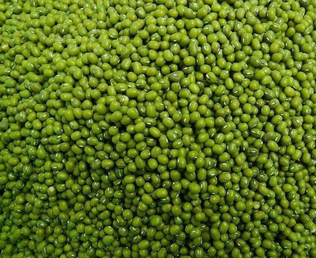 Green Mung Beans for sale, Green Moong Whole (Mung Beans) | Moong Green Gram Bulk – 4 LB Bag for Soups, Salads, Curries, Sprouting, and Cooking - Image 4