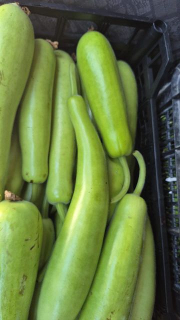 Vegetables – product photo 8, product detail gallery
