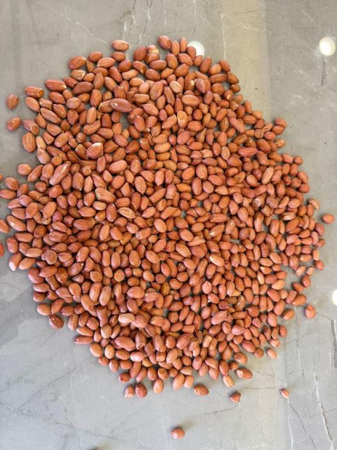 Peanut Kernel Features Organic Product Type Nuts Origin Asia, India - Image 1
