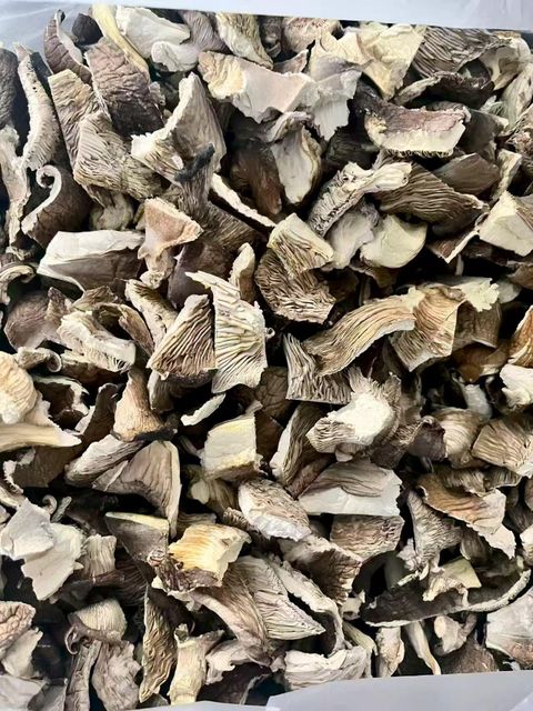 Dried Oyster mushroom, 2-4CM $50/kg - Image 1